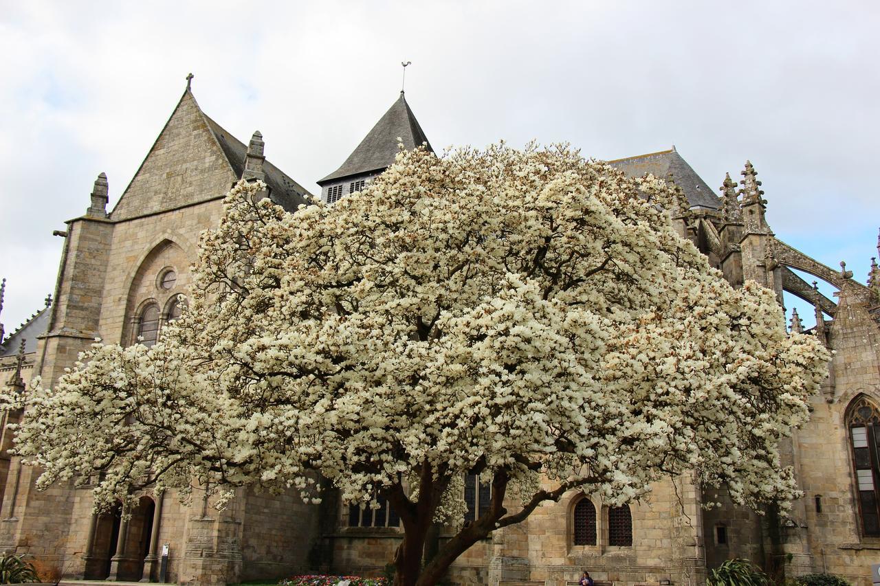 Bed and Breakfast La Tocade Del Arte - Dinan Lanvallay Zewnętrze zdjęcie
